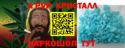 СК Кингисепп