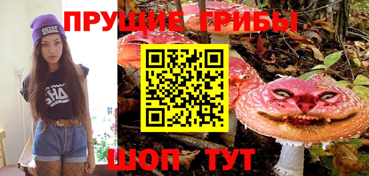 Галлюциногенные грибы мухоморы Котовск