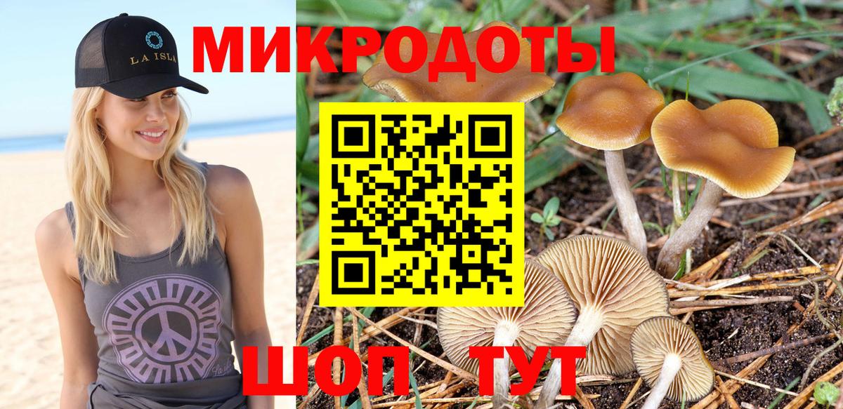 Котовск  Галлюциногенные грибы Psilocybine cubensis  дарнет шоп  Вход с VPN 